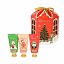 SET DE MINI PRODUCTOS NAVIDEÑOS (productos baño)IDC